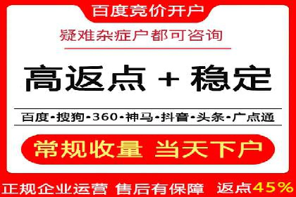 SEM服务案例：提升网站流量